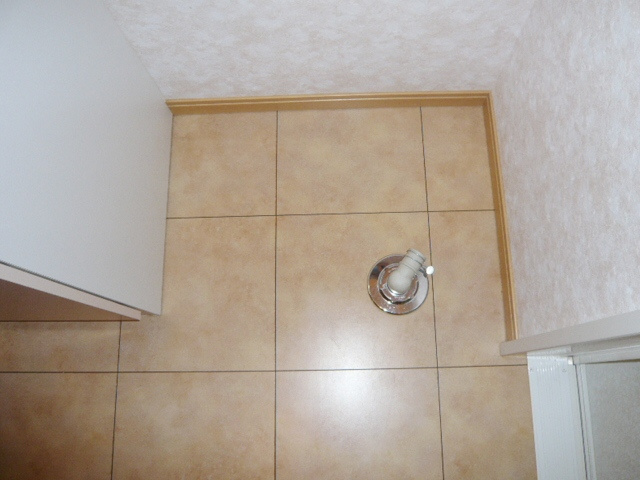 ラフィネ壱番館【キャッシュバック対象物件】の洗面所