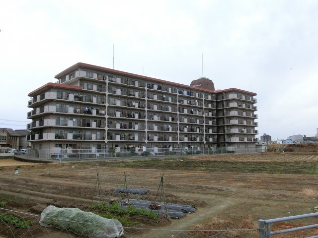 大久保スカイハイツの外観|建物の南側　東側は広大な畑　もしくは貯水池になっていて陽当たり及び眺望はとてもいいです