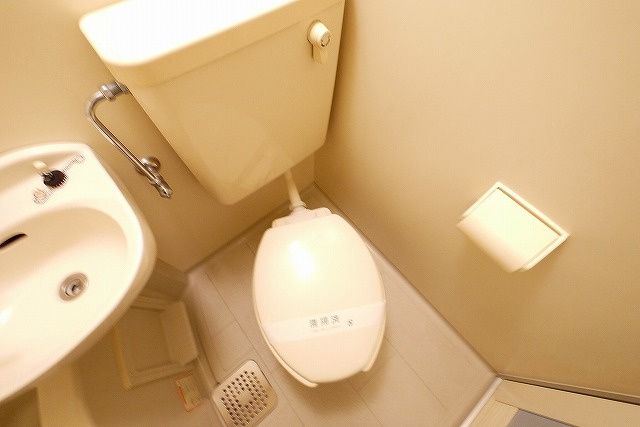 シティパレスやすらぎの道Ｐ５のトイレ|シンプルで使いやすいトイレです