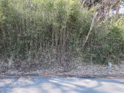【外観】 | 矢板市玉田90万円　土地