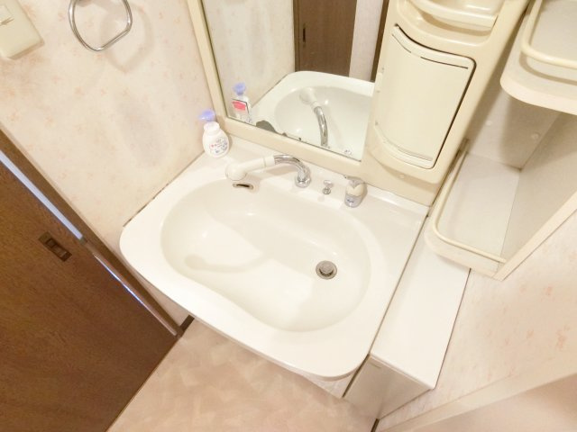 グランパス富田林の洗面所