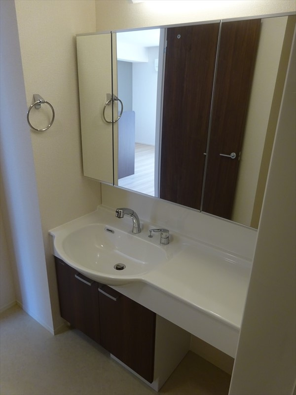 セジュール西条　A棟の洗面所