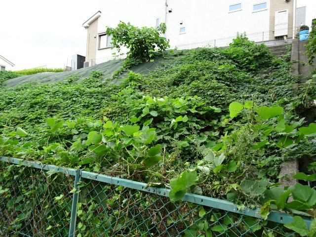 売土地　四條畷市大字清瀧（更地）の外観