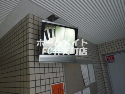 【その他】 | シロハイヌ弁天町