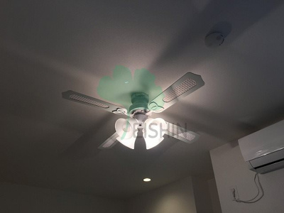  | プランドール五十川