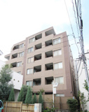 【価格改定】ルピナス桜上水の画像