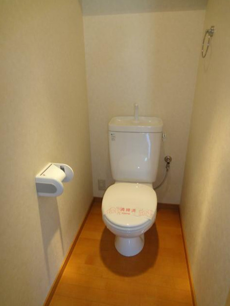 熊本市南区近見６丁目の賃貸マンションのトイレ