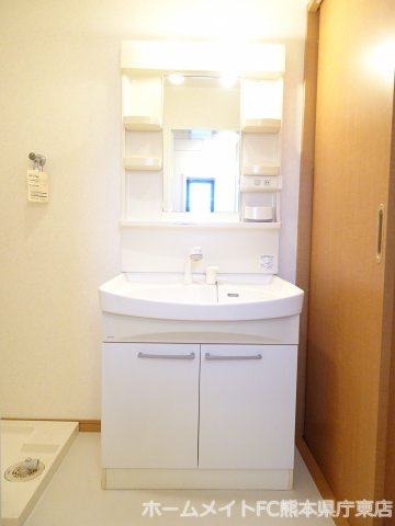 熊本市南区近見６丁目の賃貸マンションの独立洗面台