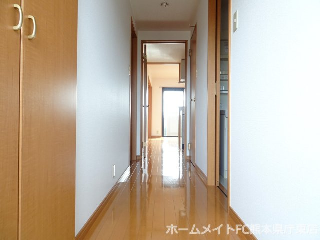 熊本市南区近見６丁目の賃貸マンションの玄関