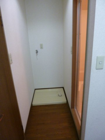 アドバンス弐番館【キャッシュバック対象】の洗面所