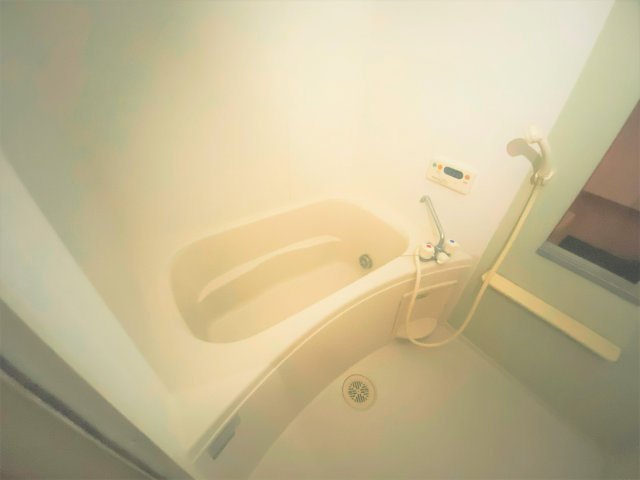 プリートカーサマルタⅠの浴室