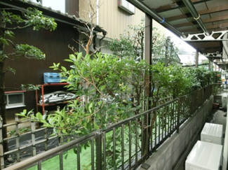 【展望】 | バルコニーからの眺望。