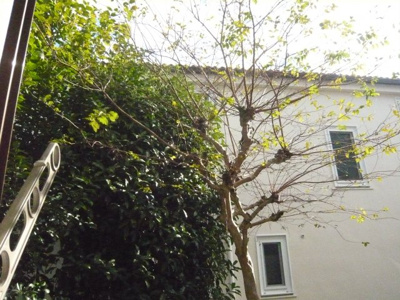 【展望】 | センチュリーシオン国立 | 写真は１階のものです