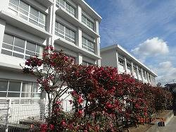 【周辺】 | メゾン光峰 | 松山市立鴨川中学校 1125m