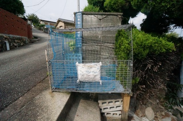 ラカーサのその他共用部分|参考、同建物・同間取りタイプの号室