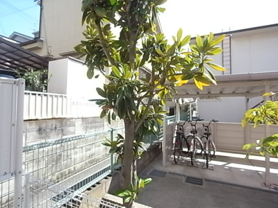 【展望】 | ルナルーチェ