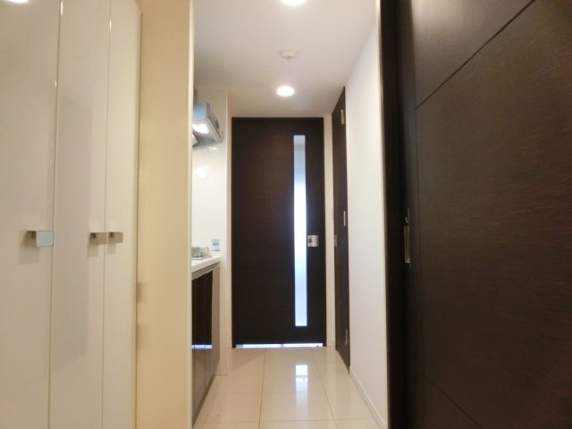 レジュールアッシュ難波リュクスの玄関