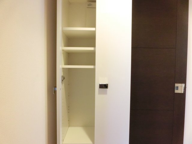 レジュールアッシュ難波リュクスの収納