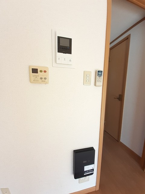 ルイーゼのセキュリティ