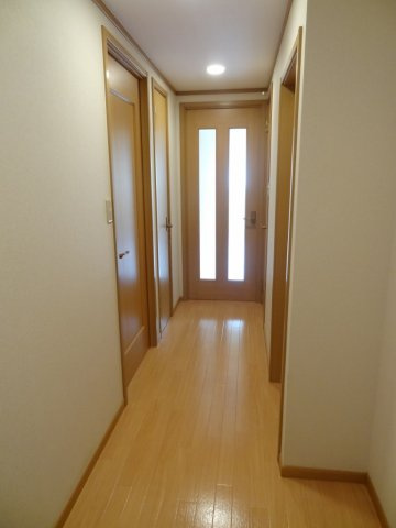 ルイーゼのその他