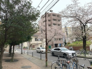 ＩＭ桜木町ビル