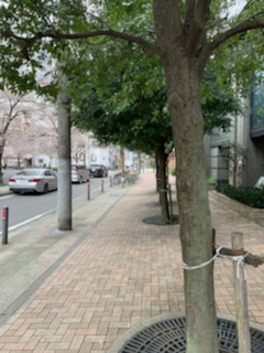 ＩＭ桜木町ビル