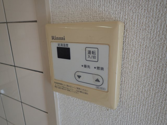 ルシアンⅡのその他