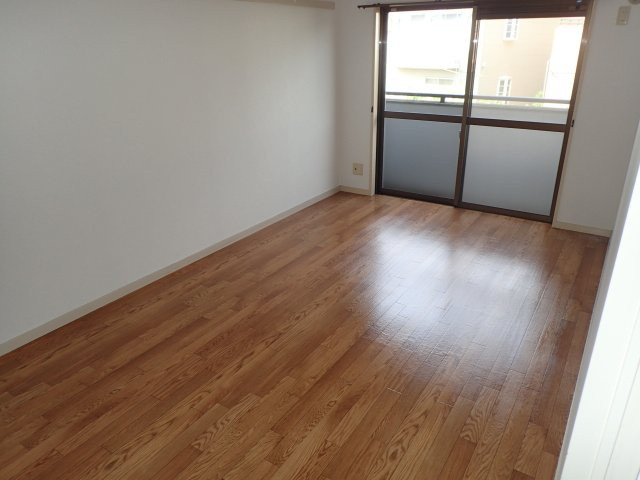 ルシアンⅡのその他