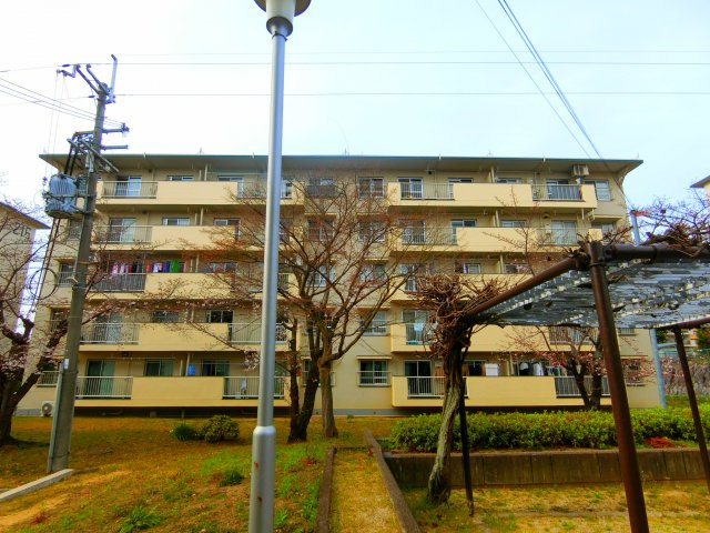 金剛第三住宅215棟の外観