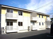 Ｍｉｒａｂｅｌｌｅの画像