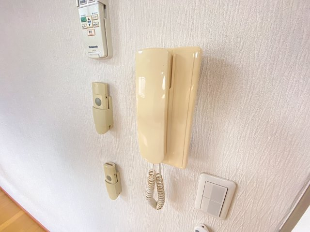 エルヴェウエダのセキュリティ