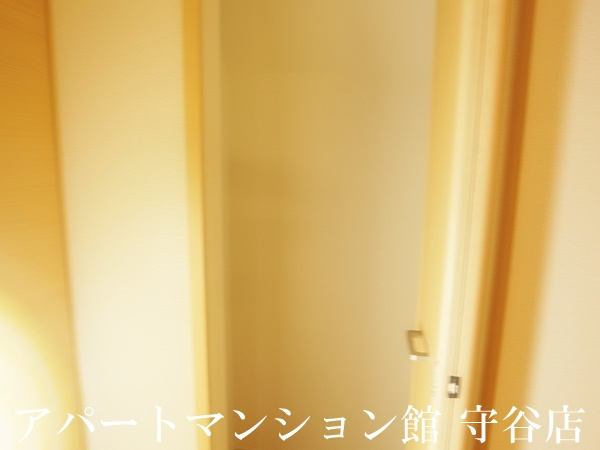 ベッラ・ヴィスタⅡの収納