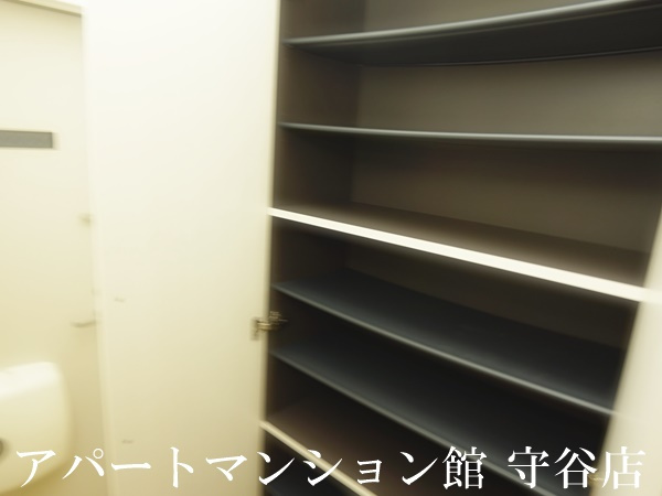 ベッラ・ヴィスタⅡの収納