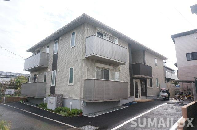 ライスシャワー坪井