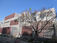 CHELSEA GARDEN　A棟の画像