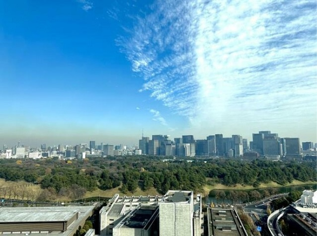 千代田区平河町２丁目の賃貸マンションのバルコニー|眺望
