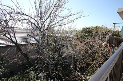 【展望】 | 小幡マンション