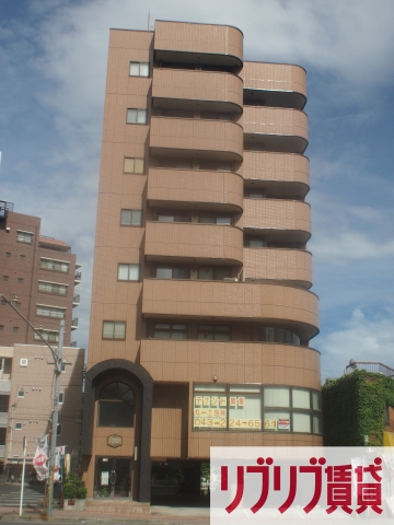 BELLIS(ベリス)