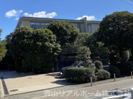 ホーマットレオナの画像