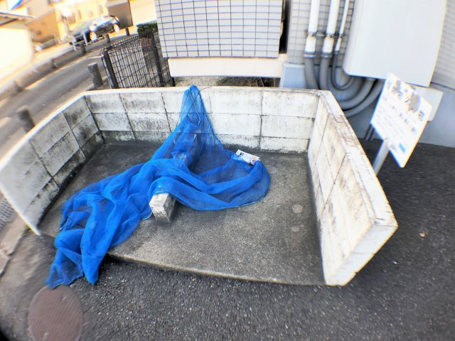 マンション朝倉の展望
