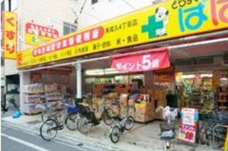 ルピナスグランドカーサ西巣鴨の周辺|どらっぐぱぱす