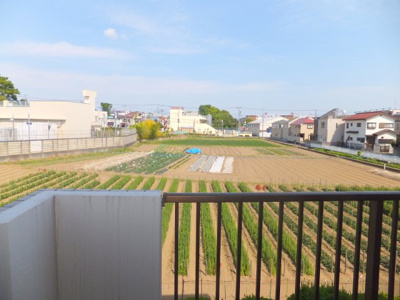 【展望】 | サンハーモナイズ