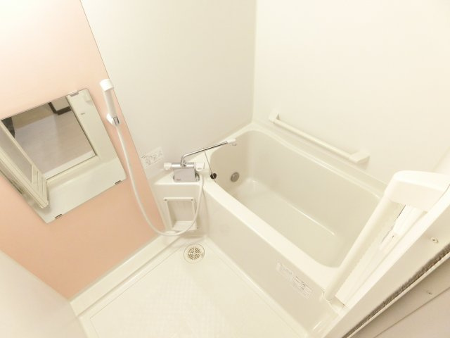 レオネクストエストⅡの浴室