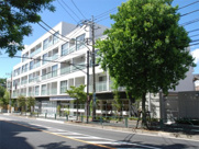 ラフィナート嶋の画像