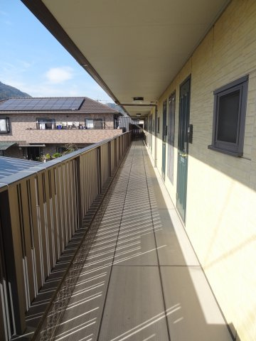 Kanarienのその他