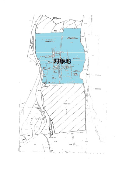 【土地図】 | 石垣市桴海　売地 | 土地図です