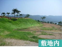 【外観】 | 石垣市桴海　売地 | 敷地内画像です