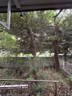 【展望】 | アトリエ5