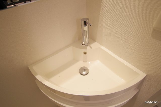 アプリーレ南森町(旧:アスール南森町)　仲介手数料無料の洗面所