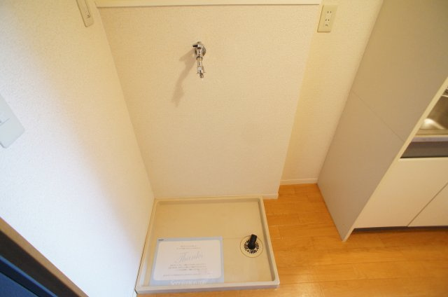 【その他】 | 大志館　 | 室内洗濯機置場です
